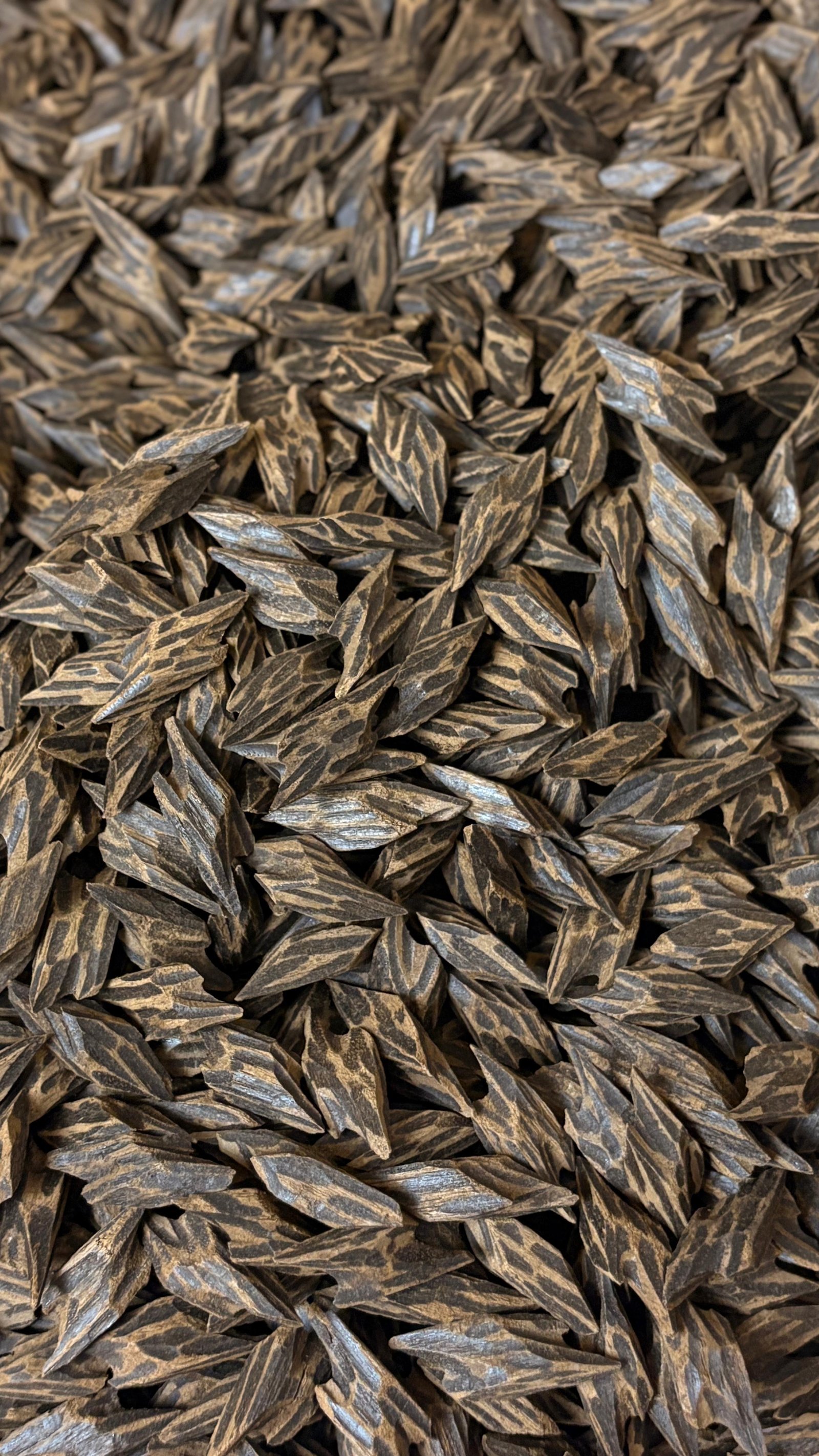 كمبودي تايقر